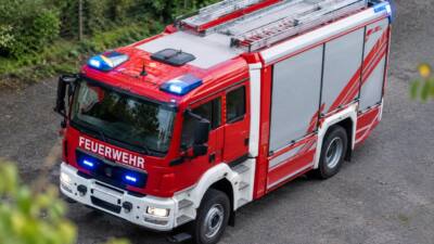 Feuerwehr setzt gerettete Natter im Wald aus