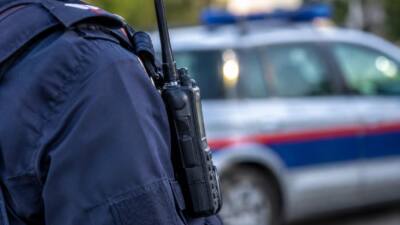 Mann verletzt zwei Polizisten bei Flucht in Wien-Döbling