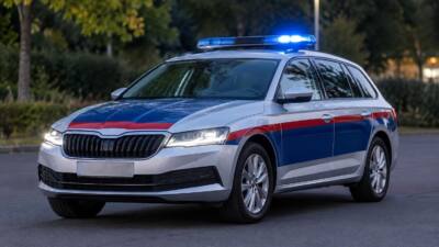 Mischlingshund beißt 17-Jährige im Bezirk Wolfsberg ins Gesicht