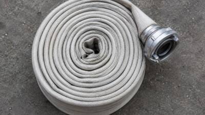 Nach Zimmerbrand in Zwentendorf ist Hund wieder in Sicherheit