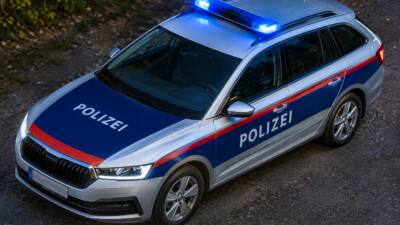 Pkw kommt nach Katzenbiss auf A12 bei Radfeld von Fahrbahn ab