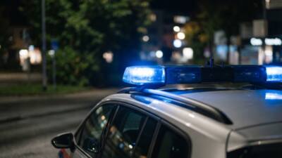 Pkw prallt auf L205 gegen Gebäude, Lenker wird verletzt