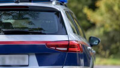 Heck eines Polizeiautos mit blauem Lichtbalken vor unscharfem Grün