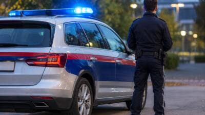 Polizei nimmt mutmaßlichen Haupttäter in Wien fest