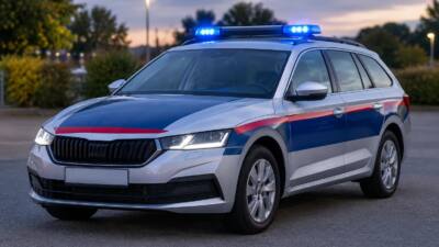 Polizei stoppt 18-Jährigen nach Fluchtversuch in Wels