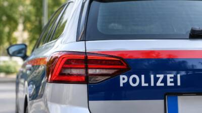 Polizist bei Festnahme in Donaustadt am Kopf verletzt