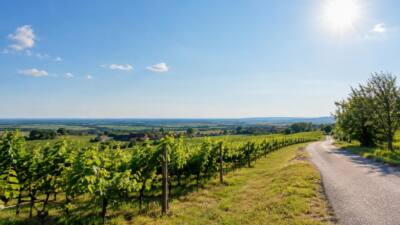 Wetter im Burgenland am Dienstag: Viel Sonne, bis 16 Grad