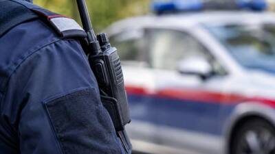 Zwei Verdächtige nach Diebstählen in Wien festgenommen